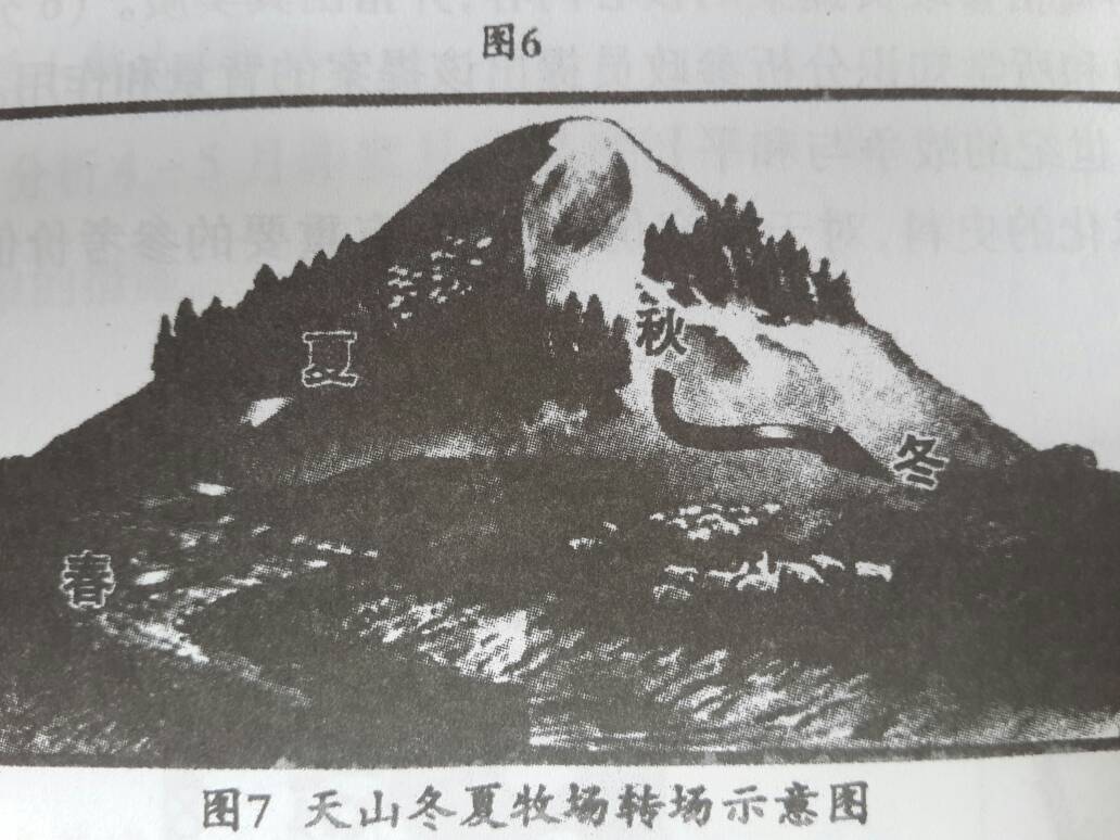 盘货那些让人感应惊艳的20句广告词:星空娱乐(图2) 星空体育